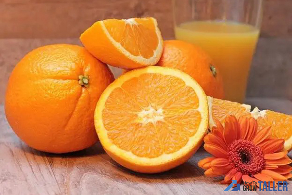 does-orange-increase-height-2